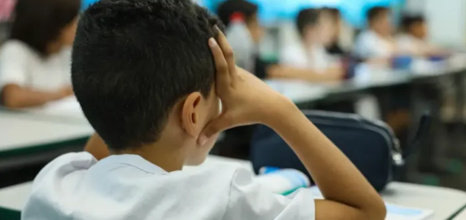 Educação hoje está cada vez mais no sujeito, diz orientadora