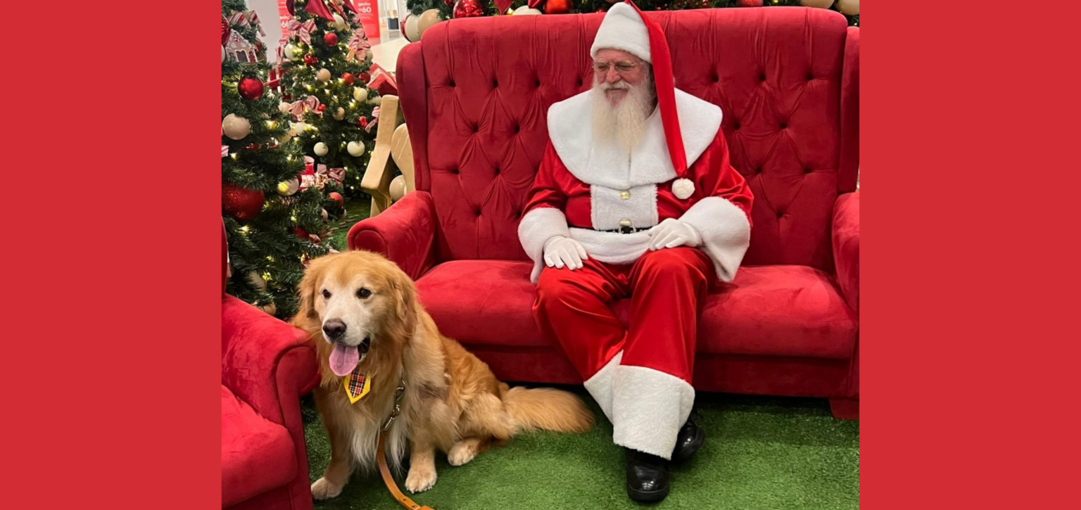 Franca Shopping apresenta programação especial de Natal com shows e encontro pet