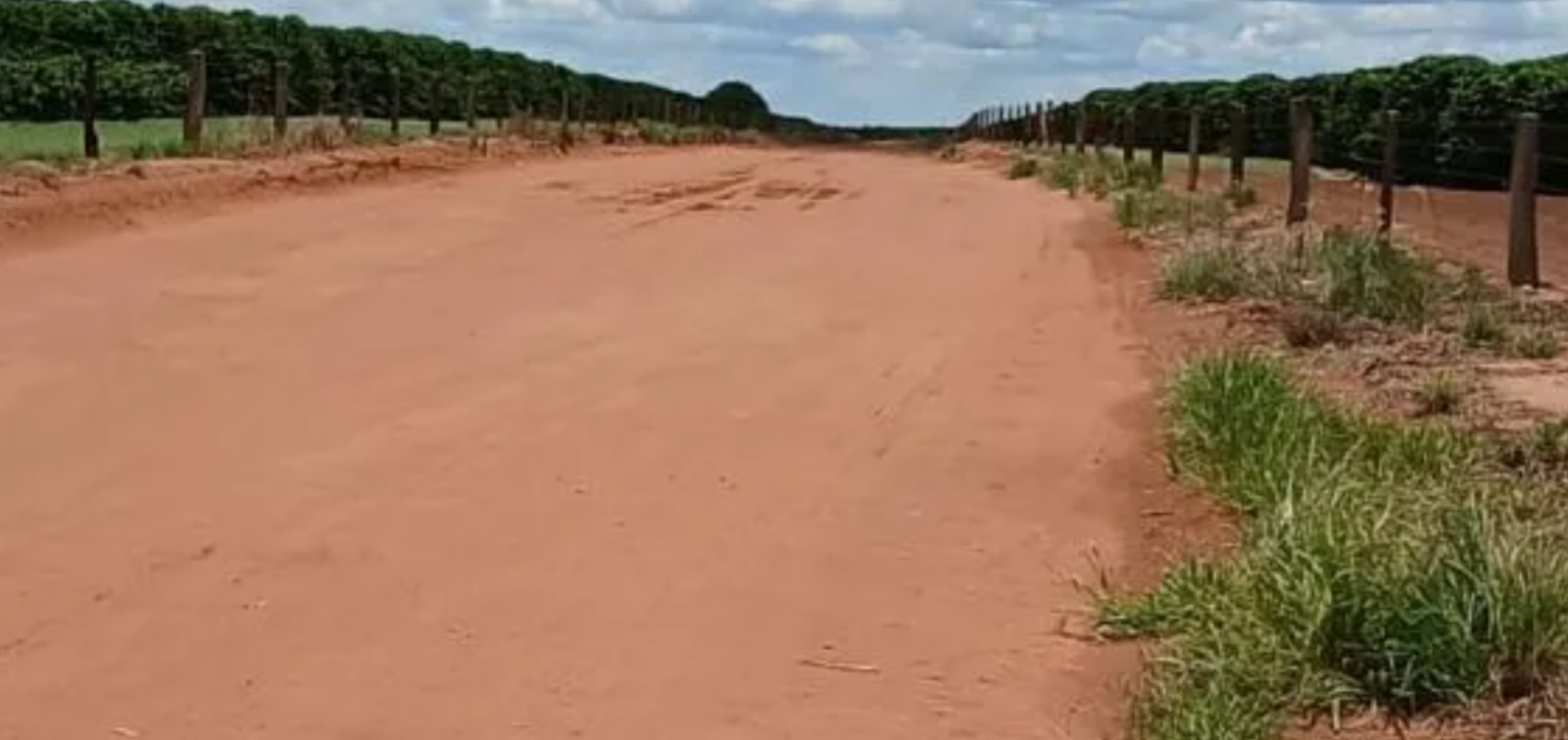 Deputada Delegada Graciela acompanha situação das obras da Estrada do Caititu e cobra providências do DER