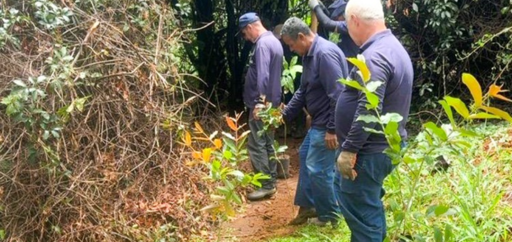 Meio Ambiente amplia plantios no Parque dos Trabalhadores