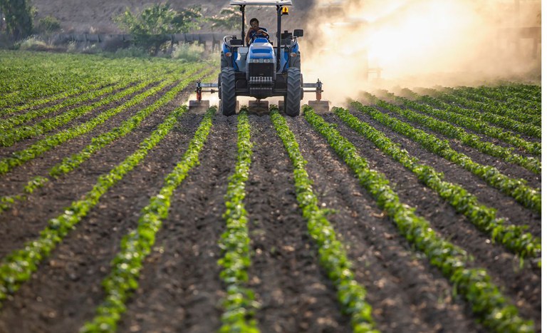 Reforma Tributária torna CNPJ obrigatório para produtores rurais em todo o país