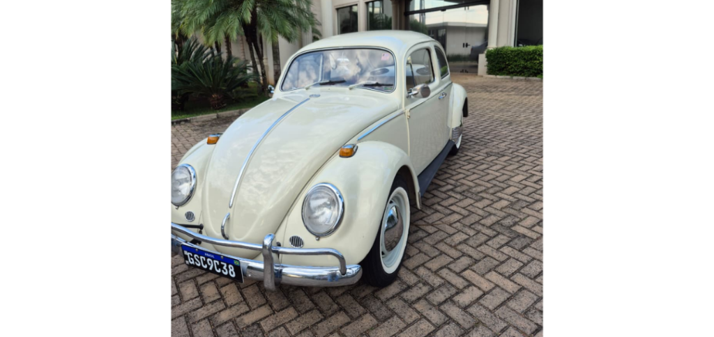 14º Leilão União de Forças da APAE acontece neste sábado com Fusca raro e itens exclusivos